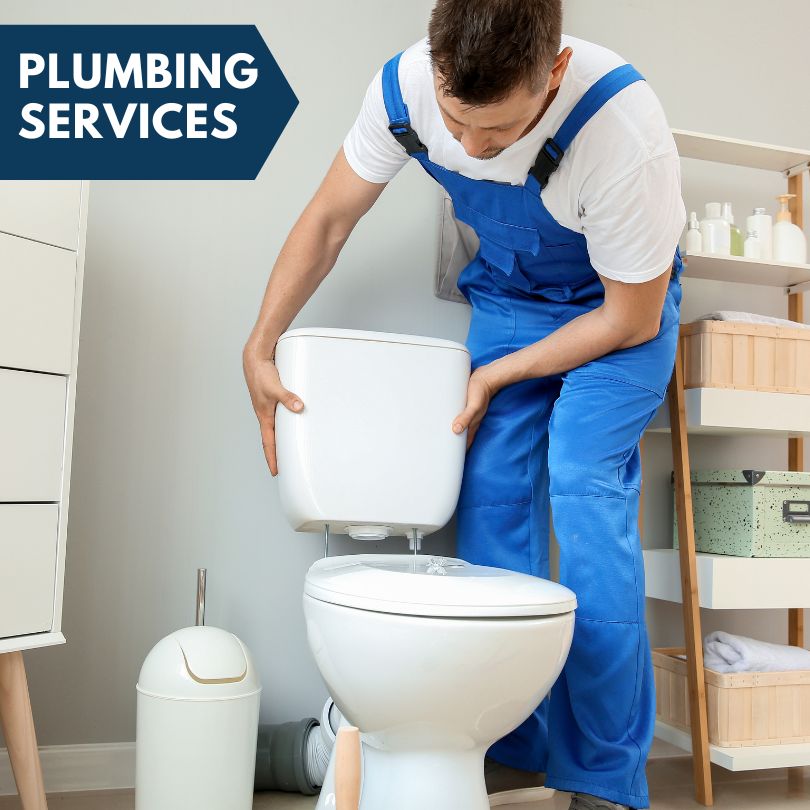 Plumbing Company in Beaverton, MI
